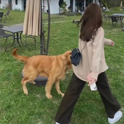 潘神的迷宫